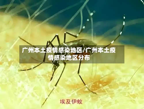 广州本土疫情感染地区/广州本土疫情感染地区分布