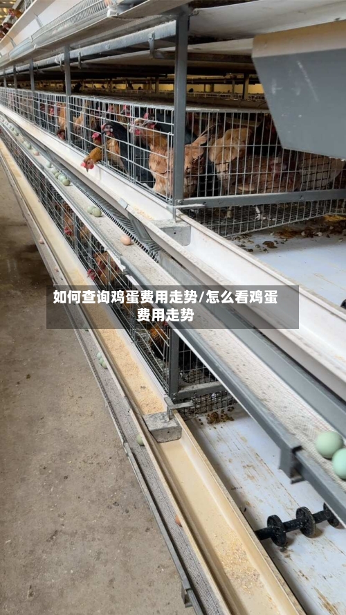 如何查询鸡蛋费用走势/怎么看鸡蛋费用走势