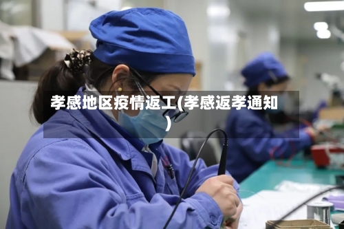 孝感地区疫情返工(孝感返孝通知)-第2张图片