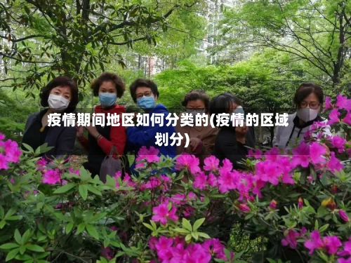 疫情期间地区如何分类的(疫情的区域划分)