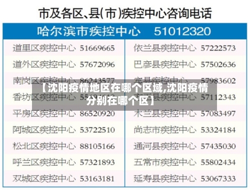 【沈阳疫情地区在哪个区域,沈阳疫情分别在哪个区】