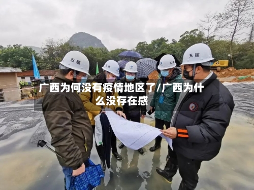 广西为何没有疫情地区了/广西为什么没存在感-第2张图片