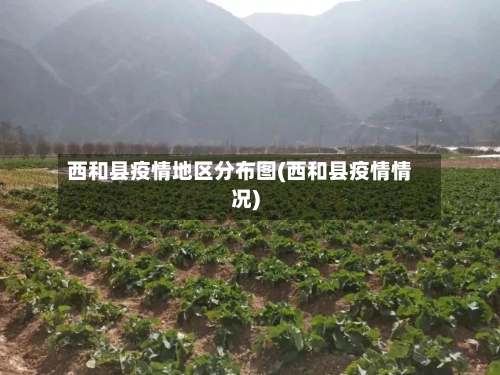 西和县疫情地区分布图(西和县疫情情况)-第2张图片
