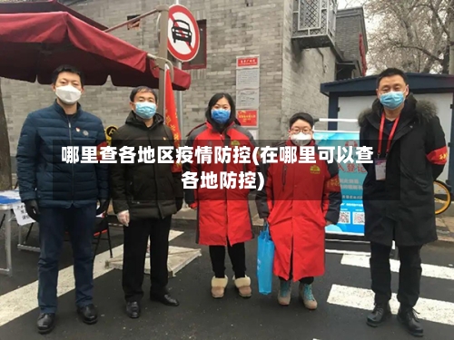 哪里查各地区疫情防控(在哪里可以查各地防控)-第3张图片