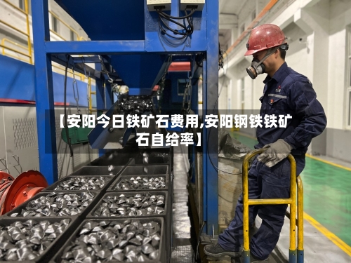 【安阳今日铁矿石费用,安阳钢铁铁矿石自给率】-第2张图片