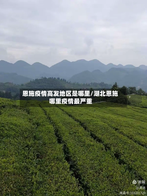 恩施疫情高发地区是哪里/湖北恩施哪里疫情最严重