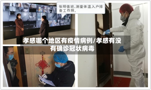 孝感哪个地区有疫情病例/孝感有没有确诊冠状病毒