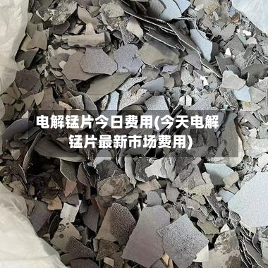 电解锰片今日费用(今天电解锰片最新市场费用)
