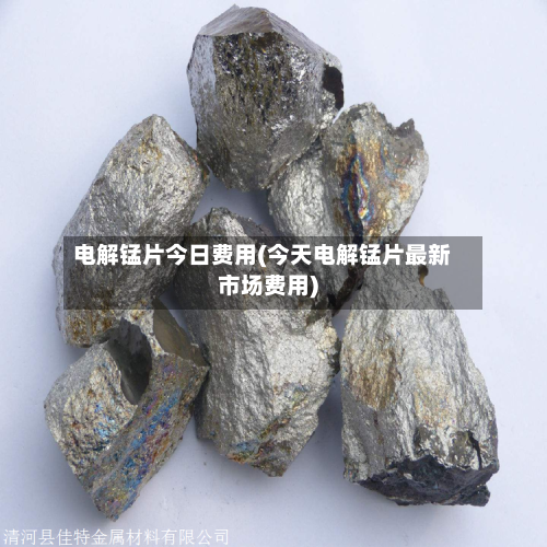 电解锰片今日费用(今天电解锰片最新市场费用)-第2张图片