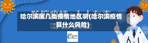 哈尔滨属几类疫情地区啊(哈尔滨疫情算什么风险)