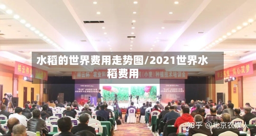 水稻的世界费用走势图/2021世界水稻费用