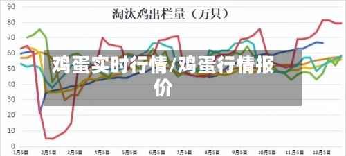 鸡蛋实时行情/鸡蛋行情报价-第3张图片