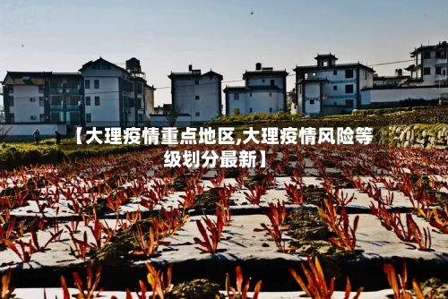 【大理疫情重点地区,大理疫情风险等级划分最新】-第3张图片
