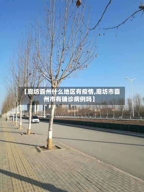 【廊坊霸州什么地区有疫情,廊坊市霸州市有确诊病例吗】-第2张图片