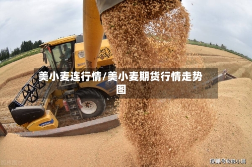 美小麦连行情/美小麦期货行情走势图