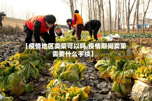 【疫情地区卖菜可以吗,疫情期间卖菜需要什么手续】