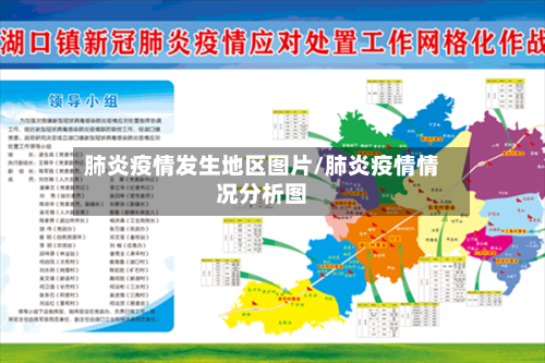 肺炎疫情发生地区图片/肺炎疫情情况分析图