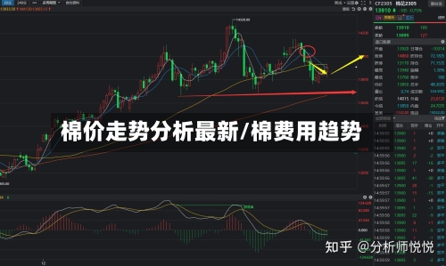棉价走势分析最新/棉费用趋势-第2张图片