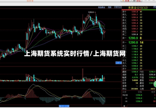 上海期货系统实时行情/上海期货网-第2张图片