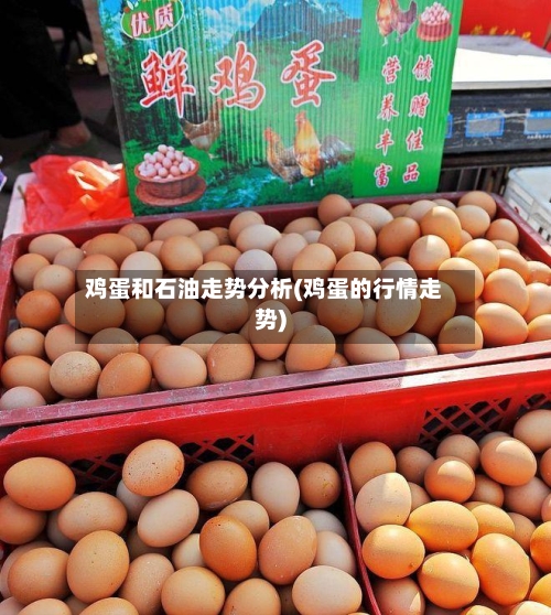 鸡蛋和石油走势分析(鸡蛋的行情走势)-第3张图片