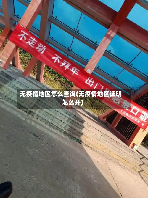 无疫情地区怎么查询(无疫情地区证明怎么开)