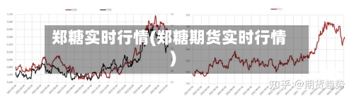 郑糖实时行情(郑糖期货实时行情)-第3张图片