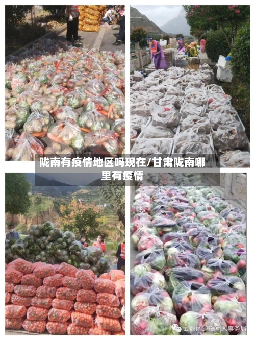 陇南有疫情地区吗现在/甘肃陇南哪里有疫情
