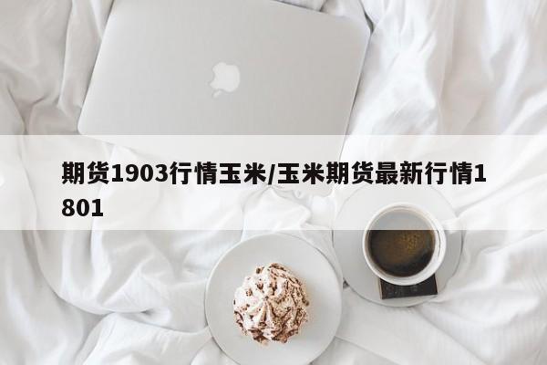 期货1903行情玉米/玉米期货最新行情1801