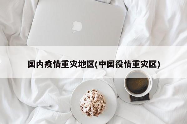 国内疫情重灾地区(中国役情重灾区)
