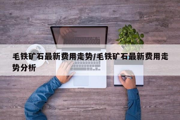 毛铁矿石最新费用走势/毛铁矿石最新费用走势分析