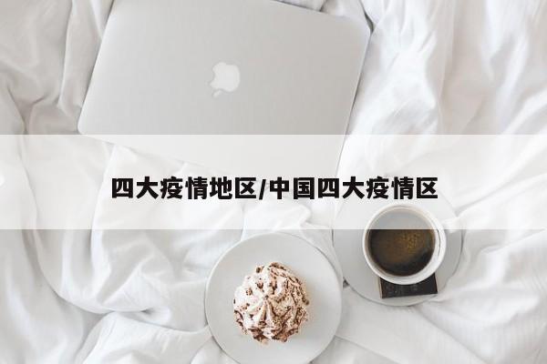 四大疫情地区/中国四大疫情区